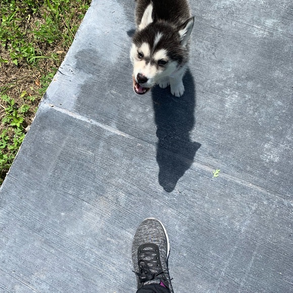 Meet your Posher, Liza - Picture 1 of 1